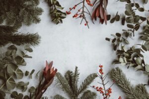 Vale a pena ler o Livro Krampus: o Senhor do Yule? Review